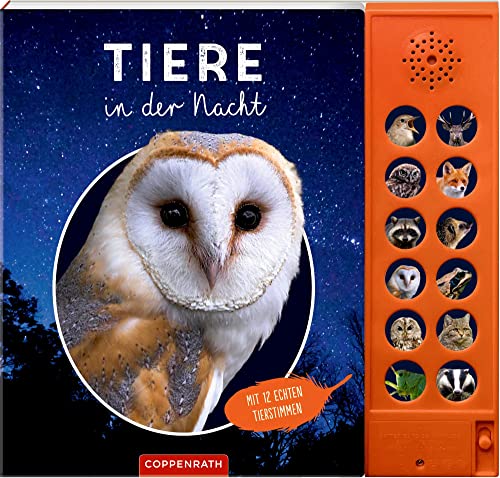 Tiere in der Nacht: Mit 12 echten Tierstimmen (Nature Zoom) von Die Spiegelburg