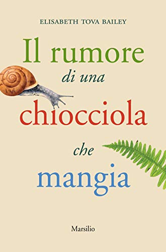 Il rumore di una chiocciola che mangia (Romanzi e racconti)