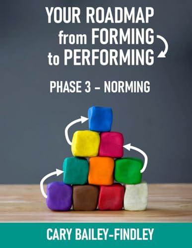 Your Roadmap From Forming to Performing: Workbook 3: Norming (From Forming to Performing Series, Band 4) von Independently published