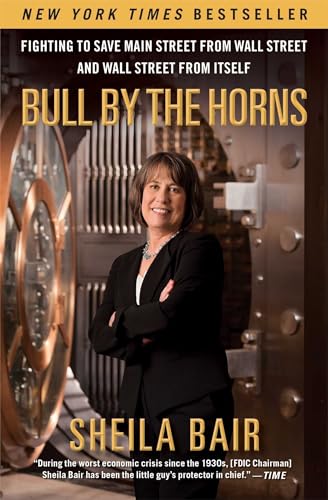 Bull by the Horns: Fighting to Save Main Street from Wall Street and Wall Street from Itself von Simon & Schuster