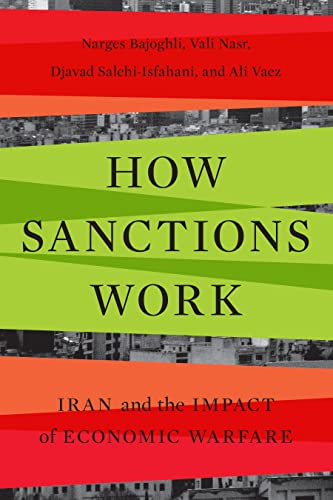 How Sanctions Work: Iran and the Impact of Economic Warfare von Stanford University Press