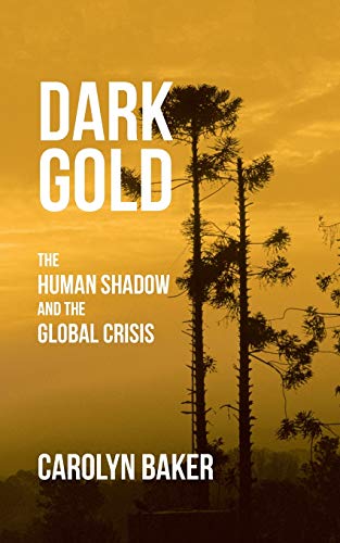 Dark Gold: The Human Shadow and the Global Crisis von iUniverse
