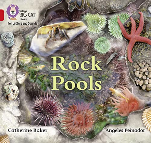 Rock Pools: Band 02B/Red B (Collins Big Cat Phonics for Letters and Sounds)
