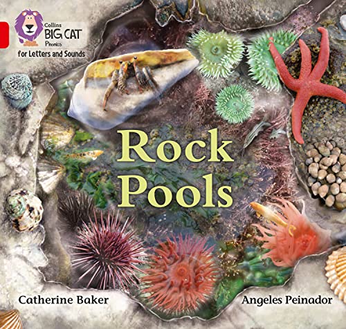 Rock Pools: Band 02B/Red B (Collins Big Cat Phonics for Letters and Sounds)