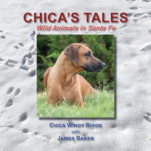 Chica's Tales, Wild Animals in Santa Fe von Sunstone Press