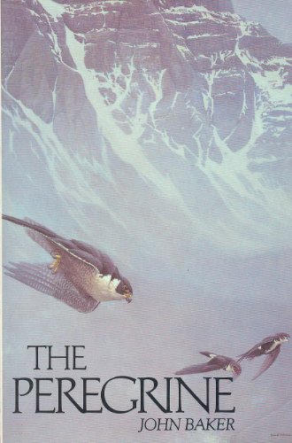Peregrine