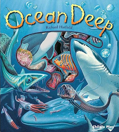 Ocean Deep (Information Books) von Child's Play