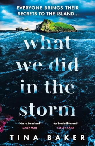What We Did In The Storm von Profile Books