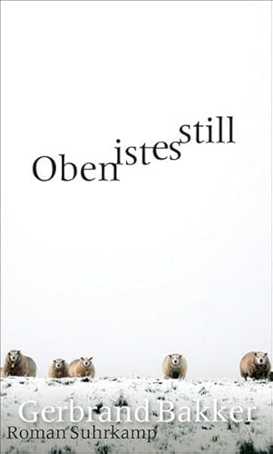 Oben ist es still: Roman
