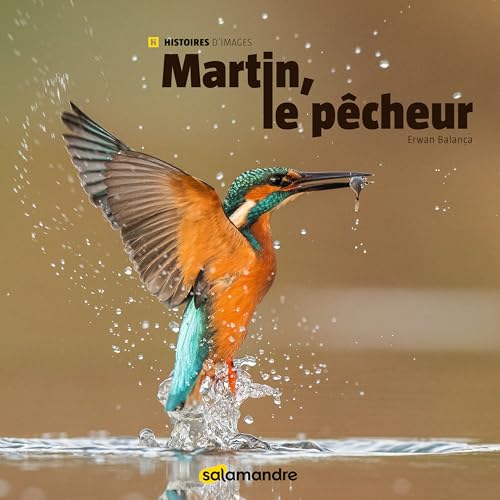 Le martin-pêcheur von LA SALAMANDRE