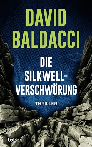 Die Silkwell-Verschwörung: Thriller. Ein Mord an einer CIA-Agentin. Amerikas schmutzigste Geheimnisse. Ein neuer Fall für Travis Devine (Die Travis-Devine-Serie, Band 2) von Lübbe