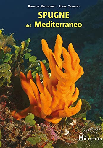 Spugne del Mediterraneo (Natura)