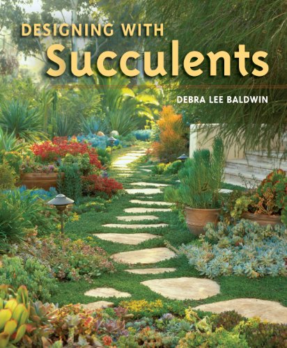 Designing With Succulents