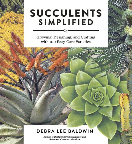 Succulents Simplified: Growing, Designing, and Crafting with 100 Easy-Care Varieties von Workman Publishing