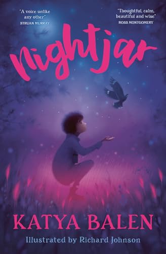 Nightjar: Carnegie Medal winner Katya Balen returns with a stunning tale about a fractured bond between father and son - and the injured bird that helps to heal it.