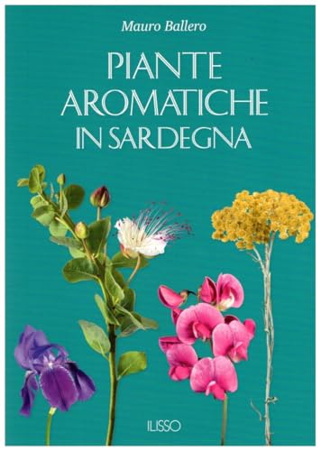 Piante aromatiche in Sardegna von Ilisso
