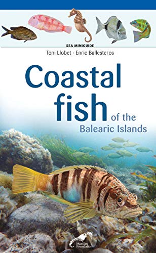 Coastal fish of the Balearic Islands (Miniguies del Mar Balear Marilles) von Cossetània Edicions