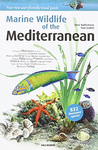 Marine Wildlife of the Mediterranean