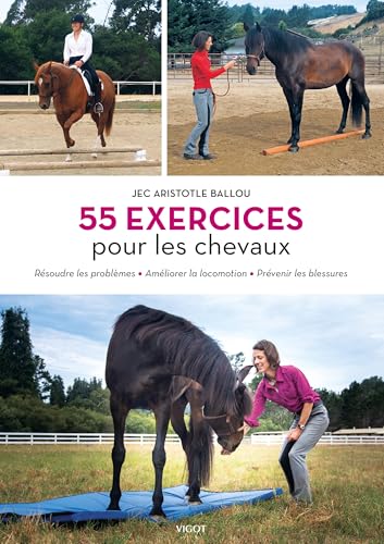 55 exercices pour les chevaux: Résoudre les problèmes - Améliorer la locomotion - Prévenir les blessures von VIGOT
