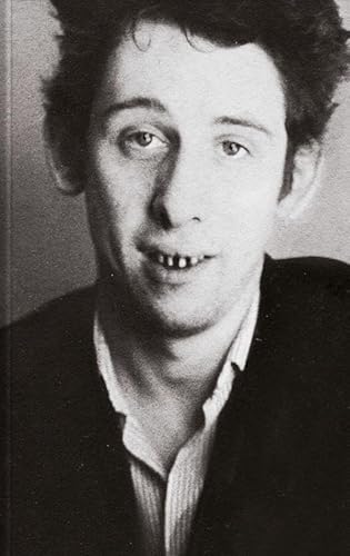 UNA FURIOSA DEVOCIÓN: LA BIOGRAFÍA AUTORIZADA DE SHANE MACGOWAN (BIHOTZA, Band 8)