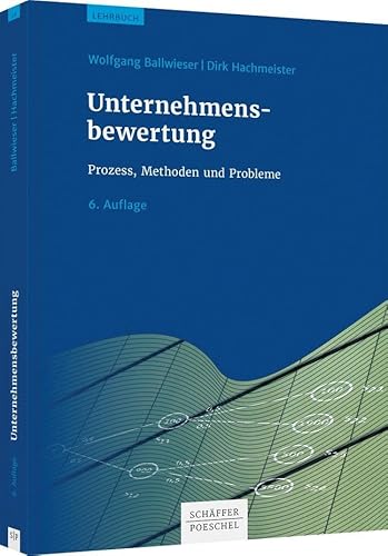 Unternehmensbewertung: Prozess, Methoden und Probleme von Schffer-Poeschel Verlag