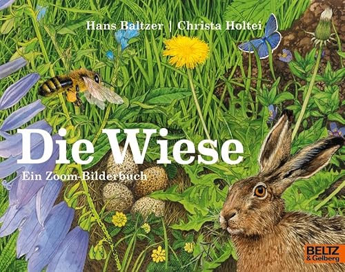 Die Wiese: Ein Zoom-Bilderbuch (MINIMAX) von Beltz & Gelberg