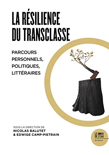 La résilience du transclasse: Parcours personnels, politiques, littéraires von BORD DE L EAU