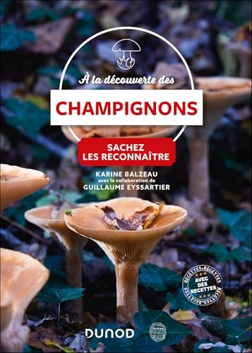 A la découverte des champignons: Sachez les reconnaître