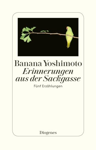 Erinnerungen aus der Sackgasse: Fünf Erzählungen Erinnerungen aus der Sackgasse: Fünf Erzählungen von Diogenes Verlag AG