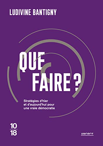 Que faire ? - Stratégies d'hier et d'aujourd'hui pour une vraie démocratie von 10 X 18