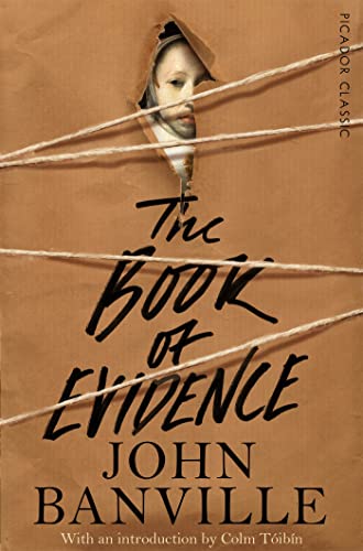 The Book of Evidence (Picador Classic, 1)