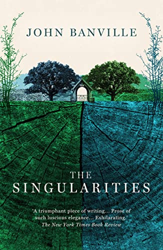 The Singularities: A Novel