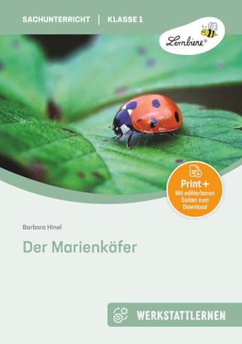 Der Marienkäfer: (1. und 2. Klasse) Der Marienkäfer: (1. und 2. Klasse) von Lernbiene Verlag GmbH