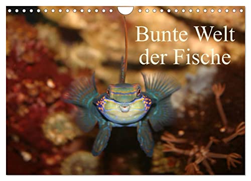 Bunte Welt der Fische (Wandkalender 2024 DIN A4 quer), CALVENDO Monatskalender