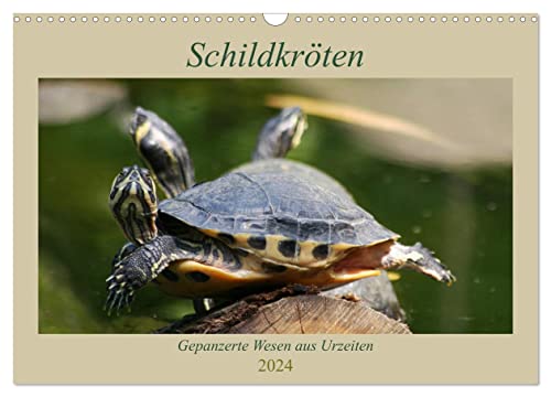Schildkröten - Gepanzerte Wesen aus Urzeiten (Wandkalender 2024 DIN A3 quer), CALVENDO Monatskalender von CALVENDO