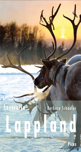 Lesereise Lappland: Nordlicht, Joik und Rentierschlitten (Picus Lesereisen) von Picus Verlag GmbH