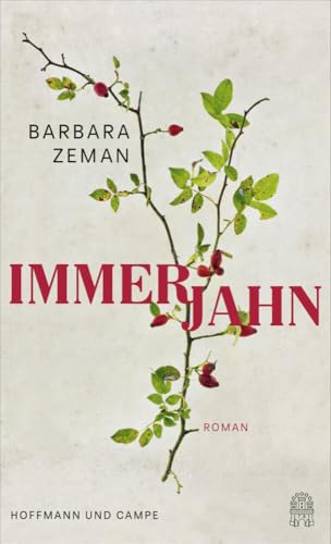 Immerjahn: Roman