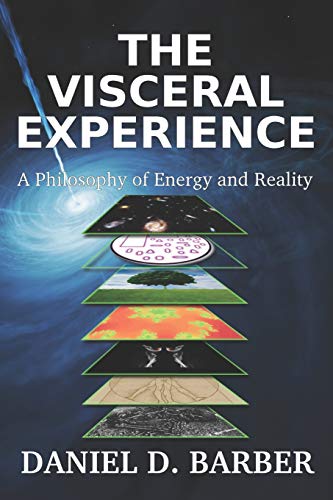The Visceral Experience: A Philosophy Of Energy And Reality von Visceral Experience Press