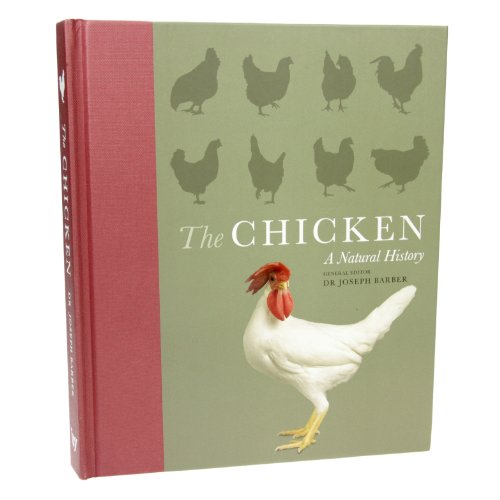 The Chicken