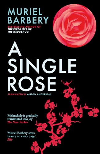 A Single Rose