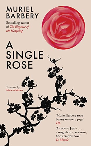 A Single Rose A Single Rose