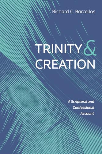 Trinity and Creation: A Scriptural and Confessional Account von Resource Publications (CA)
