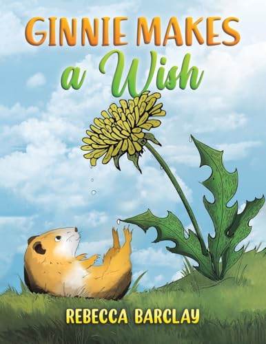 Ginnie Makes a Wish von Austin Macauley