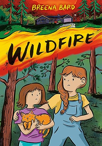 Wildfire (A Graphic Novel) von Little, Brown Ink