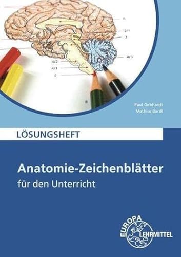 Lösungsheft zu 68095: Anatomie-Zeichenblatter fur den Unterricht: Deutsch und Fachbezeichnungen von Europa-Lehrmittel