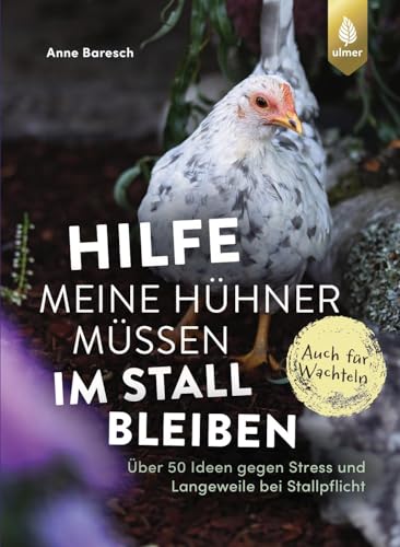 Hilfe, meine Hühner müssen im Stall bleiben: Über 50 Ideen gegen Stress & Langeweile bei Stallpflicht. Auch für Wachteln von Ulmer Eugen Verlag