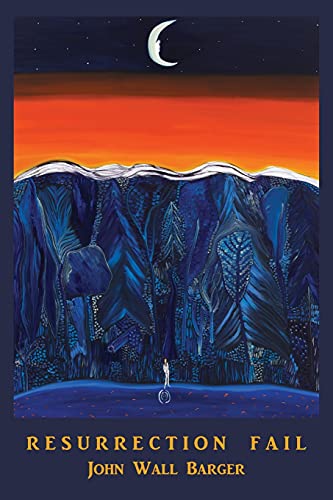 Resurrection Fail Resurrection Fail von Spuyten Duyvil Publishing