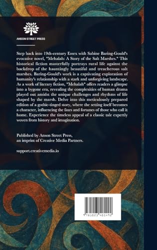 Mehalah: A Story of the Salt Marshes von Anson Street Press