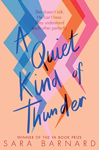 A Quiet Kind of Thunder von Macmillan Children's Books