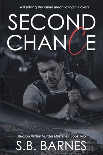 Second Chance (Hudson Valley Murder Mysteries, Band 2) von NineStar Press